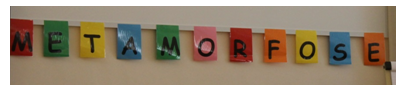 Metamorfose-tekst-4.png